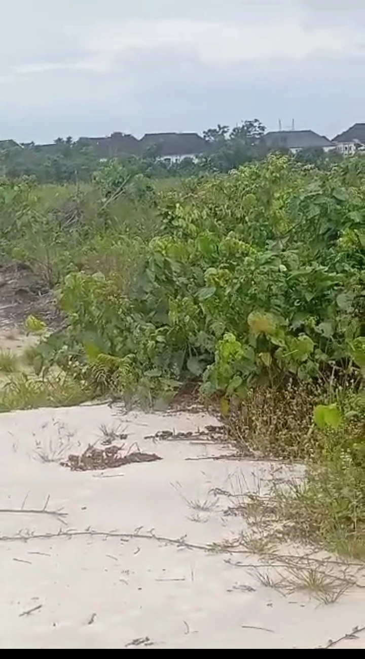 Land for Sale in Opete, Delta - Image 3