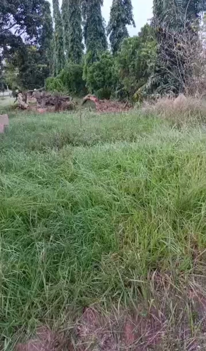 Land for Sale in IYEKOGBA IRIRI, Edo - Image 3