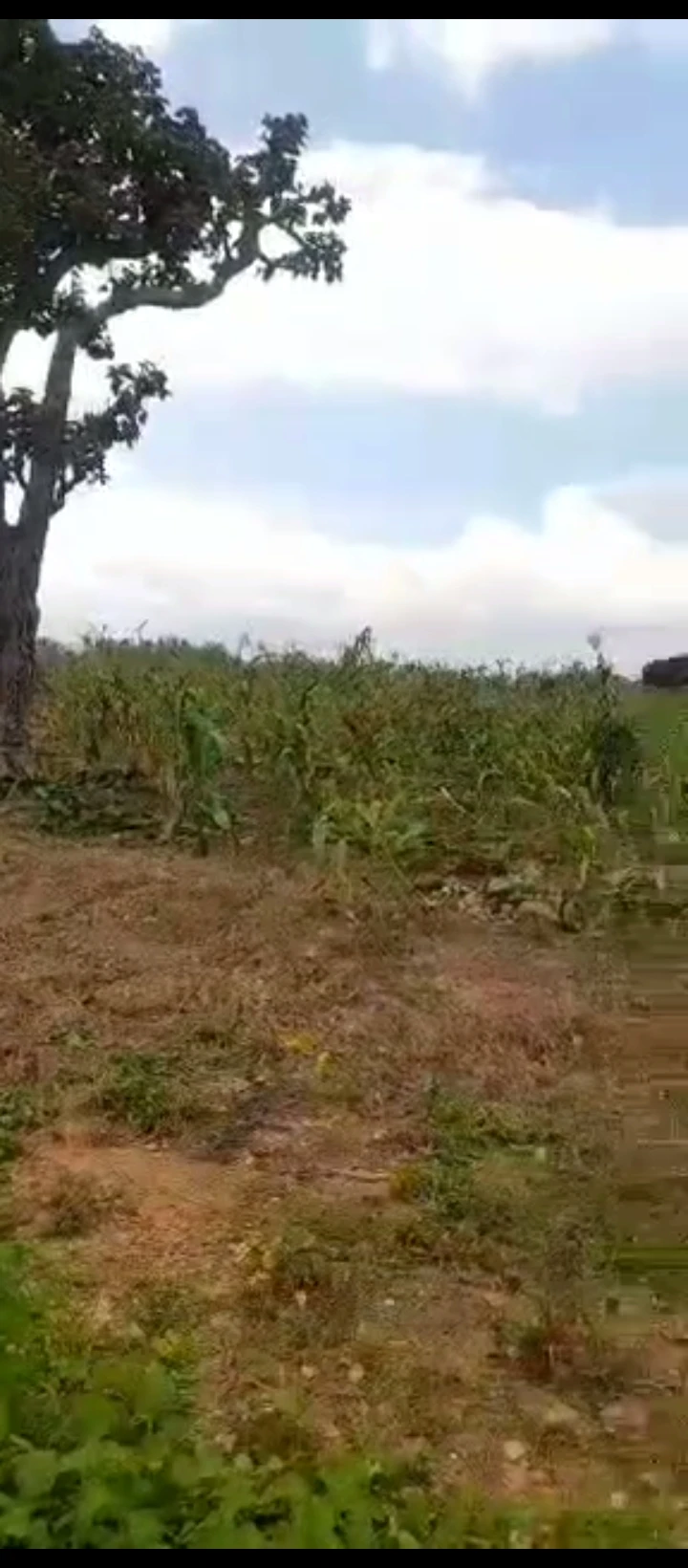 Land for Sale in Umar musa yahadua expressway, FCT - Image 3