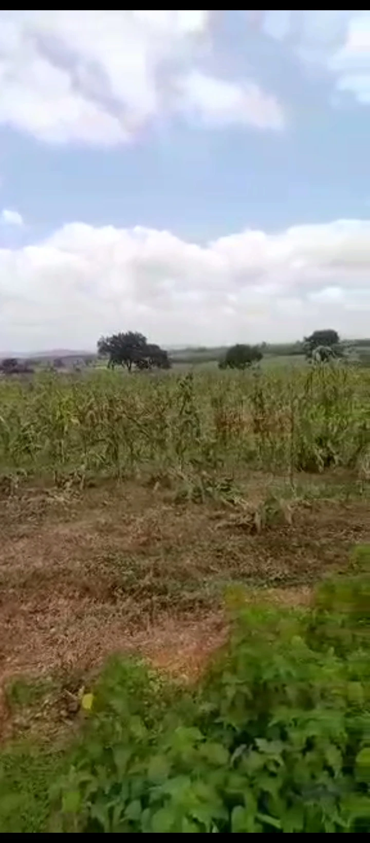 Land for Sale in Umar musa yahadua expressway, FCT - Image 2