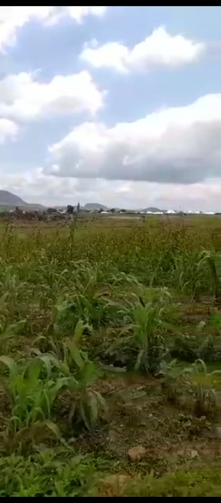 Land for Sale in Umar musa yahadua expressway, FCT - Image 1