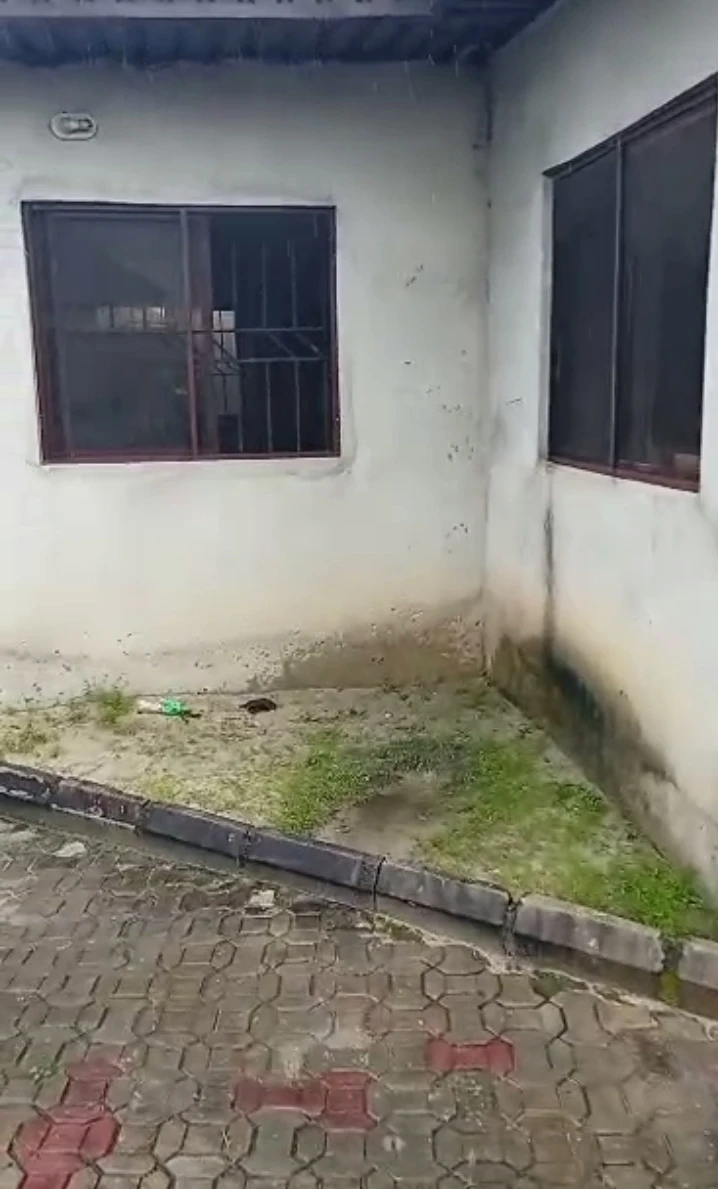 Bungalow for Sale in PTI, Delta - Image 2