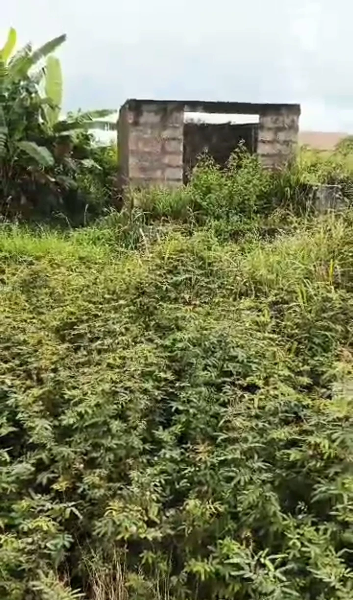 Land for Sale in Obagie Benin city, Edo - Image 2