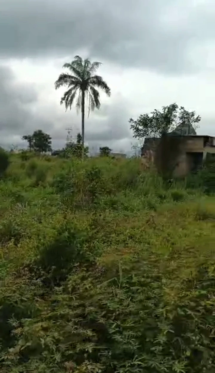 Land for Sale in Obagie Benin city, Edo - Image 1