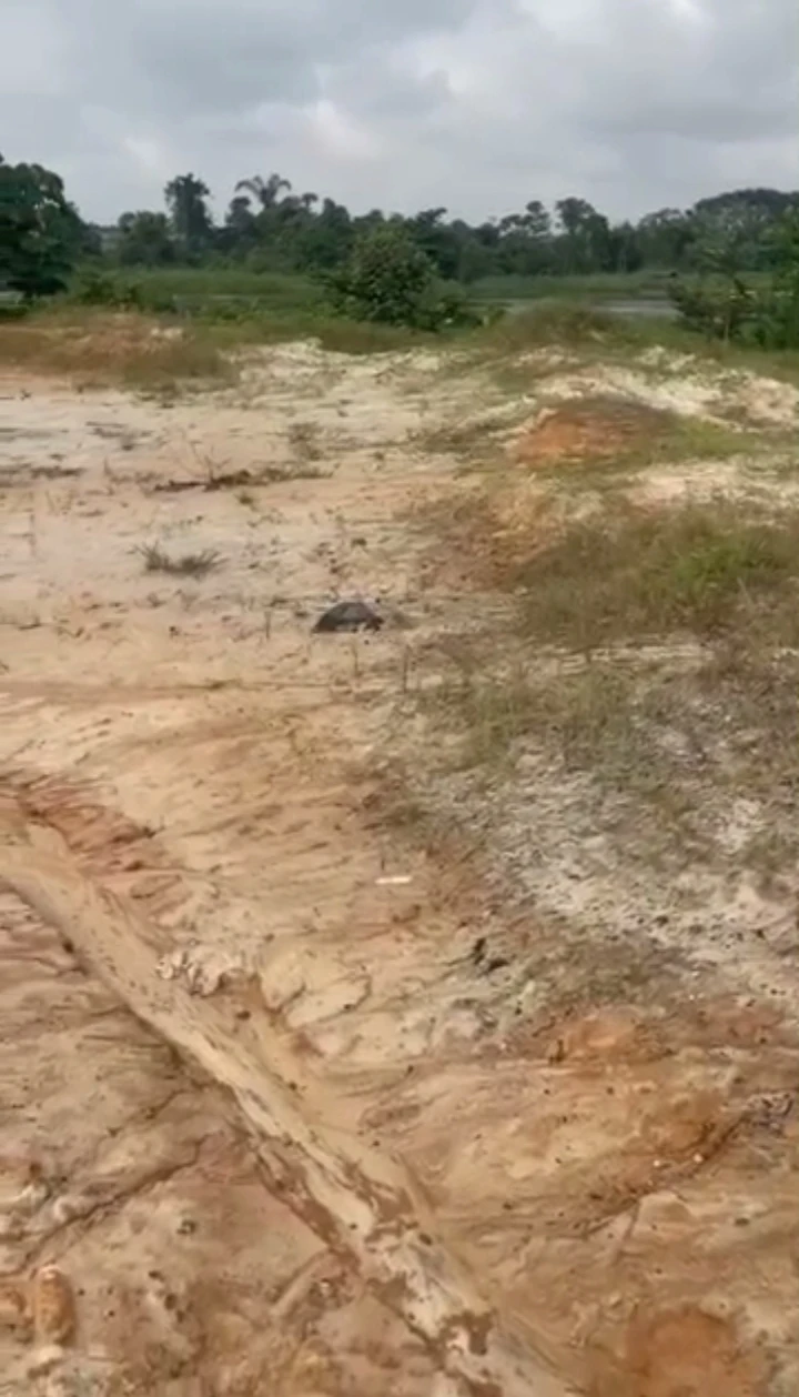 Land for Sale in Ogbomro Warri Delta state, Delta - Image 2