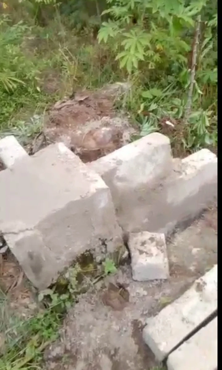 Land for Sale in Udu Warri Delta state, Delta - Image 2
