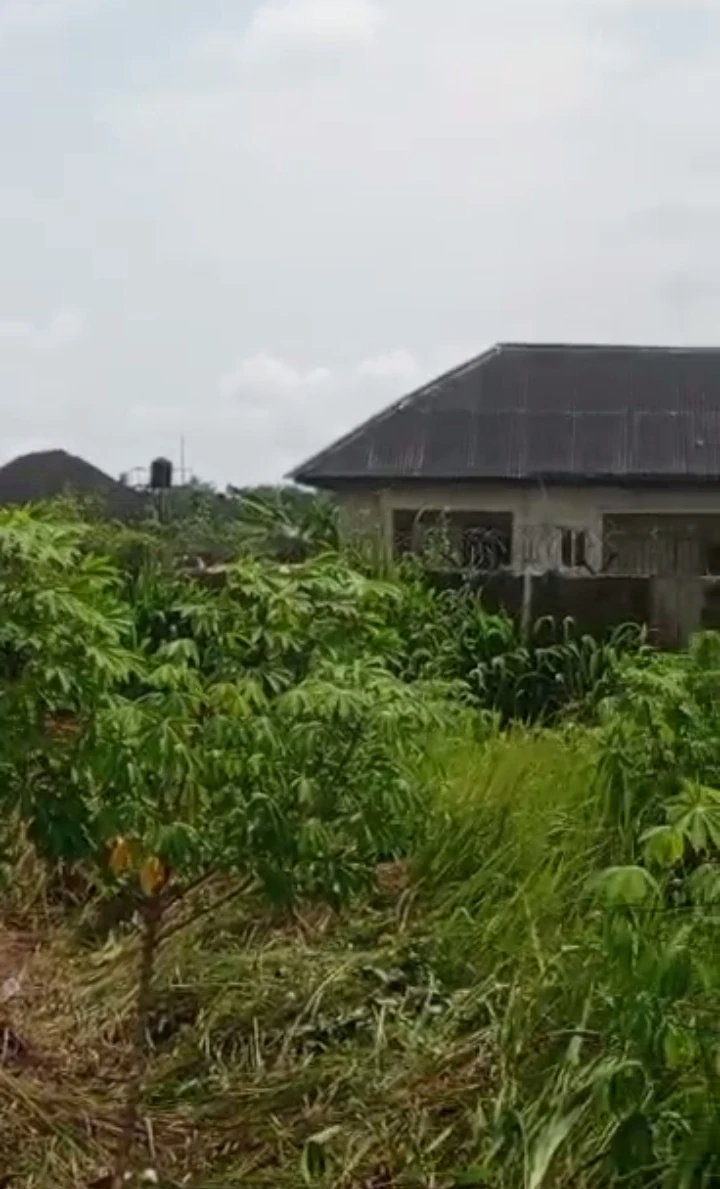 Uncompleted Building for Sale in Udu Warri, Delta - Image 2