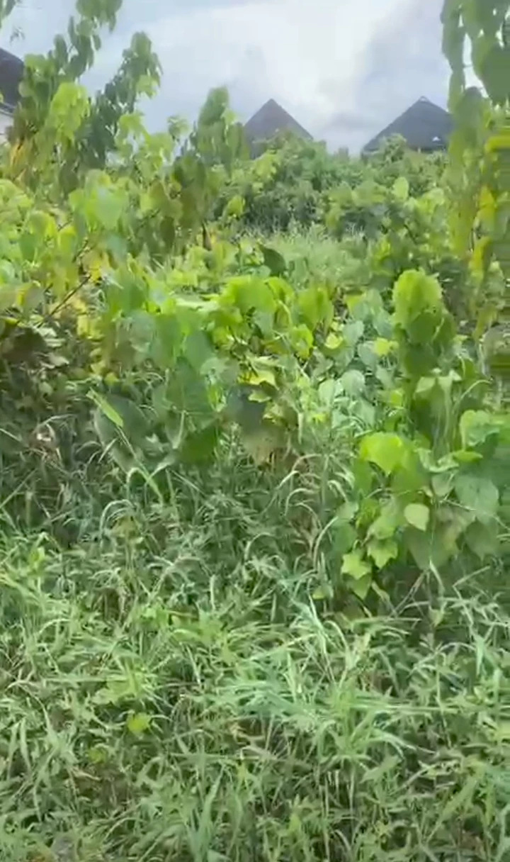 Land for Sale in St Mary ijaw quarters Bendel estate, Delta - Image 1