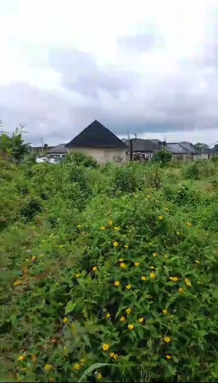 Land for Sale in Adesa Warri, Delta - Image 1
