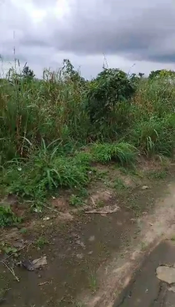 Land for Sale in Adesa Warri, Delta - Image 3
