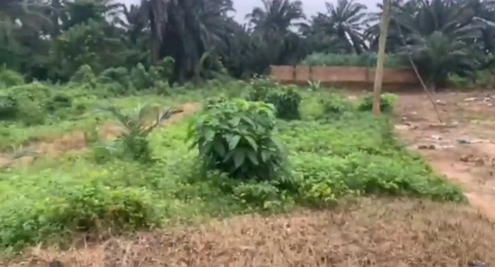 Land for Sale in Falanu country home, Edo - Image 1