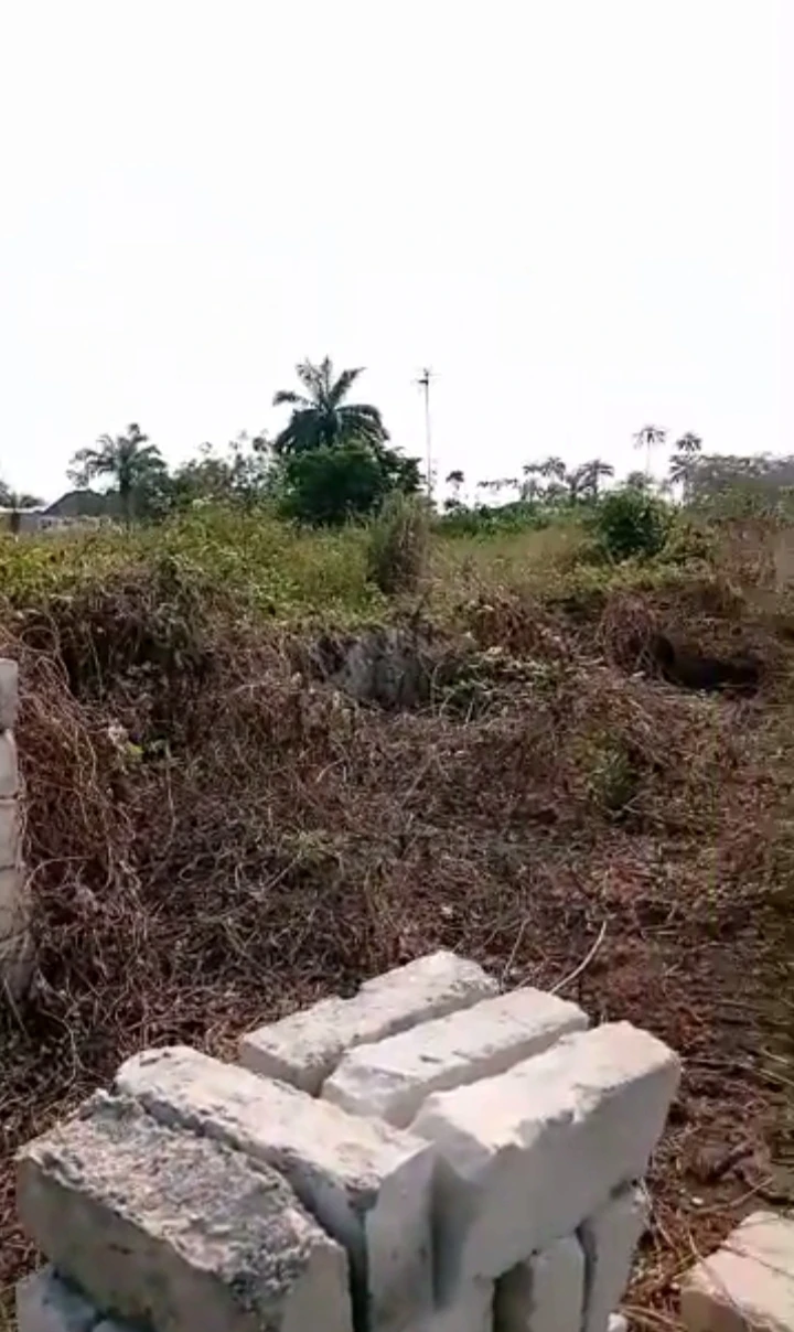 Land for Sale in Ogolo, Delta - Image 3