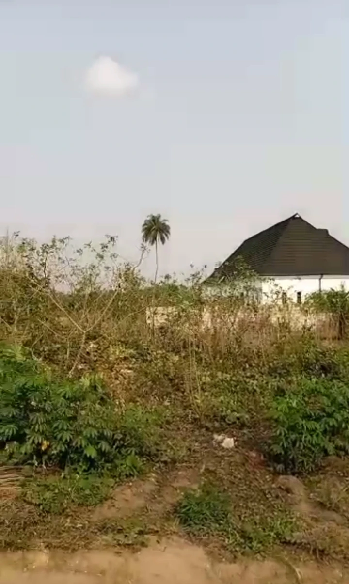 Land for Sale in Ogolo, Delta - Image 2
