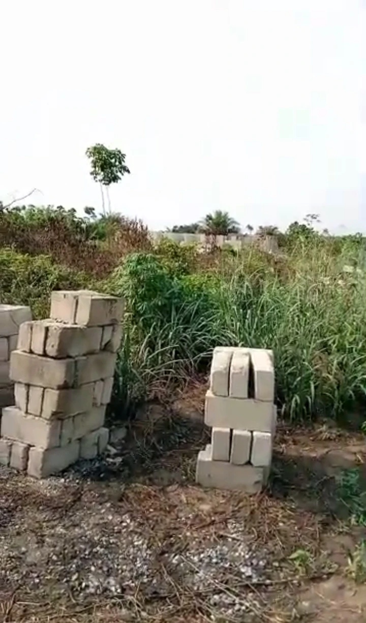 Land for Sale in Ogolo, Delta - Image 1