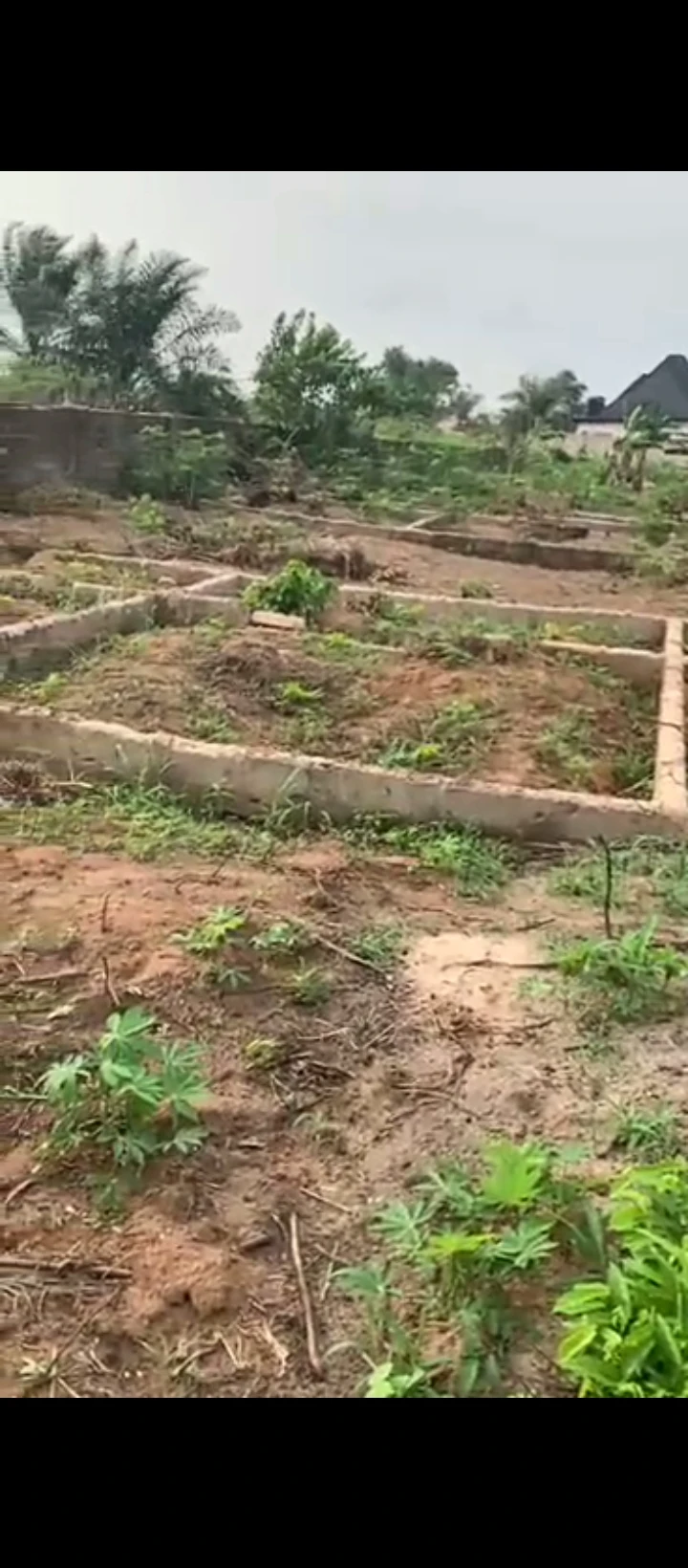 SelfContain for Sale in BIU Road along sapele road, Edo - Image 1