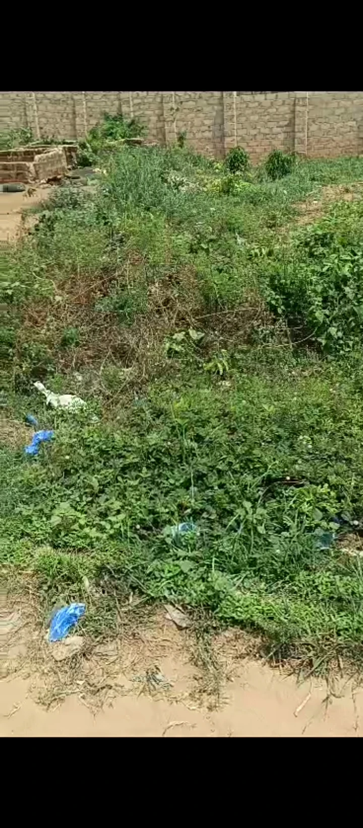 Land for Sale in Ugbor central, Edo - Image 2