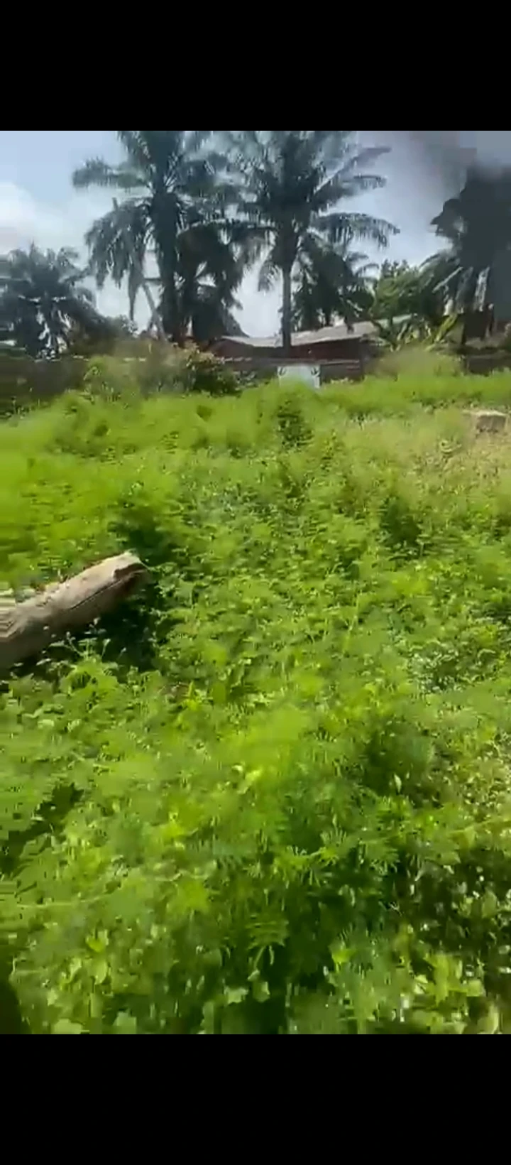 Land for Sale in 2nd ugbor, Edo - Image 1