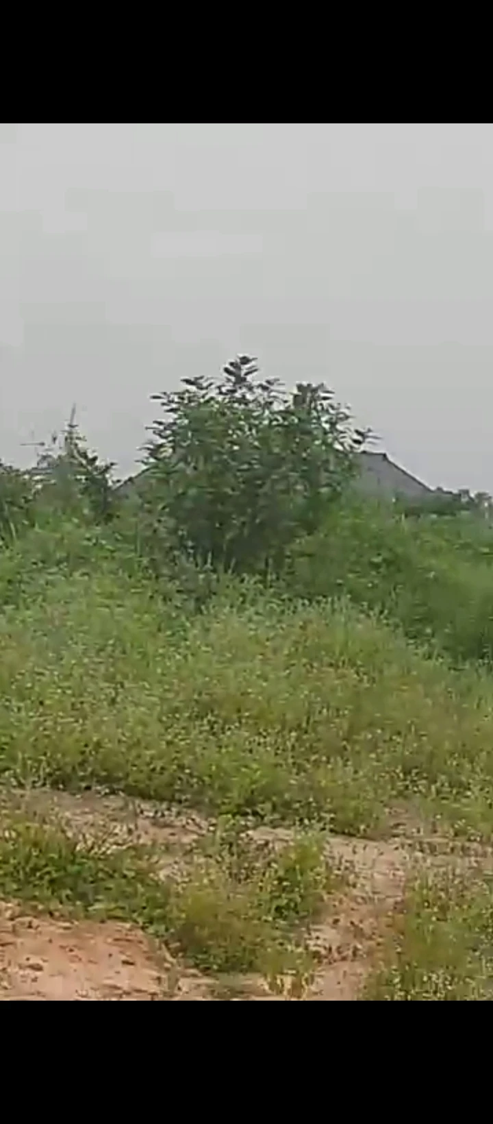 Land for Sale in Benin Abraka, Edo - Image 1