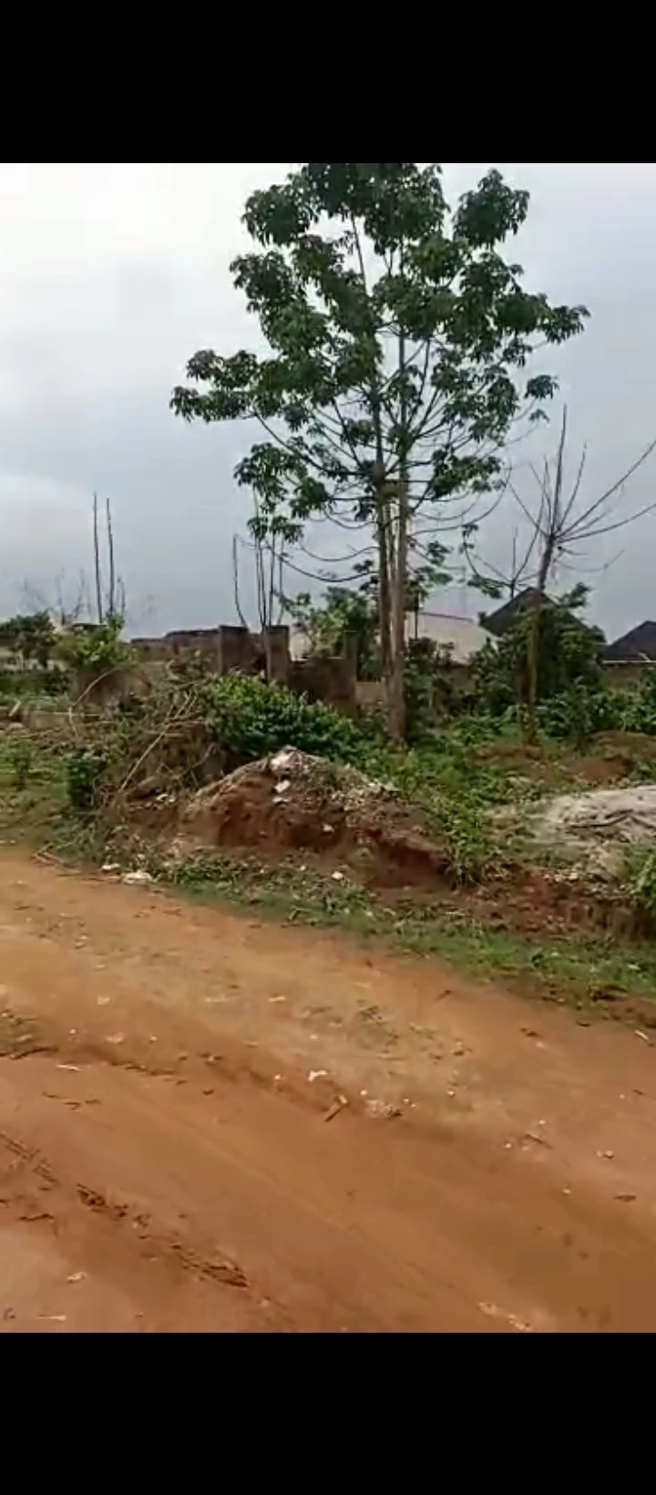 Land for Sale in Okhouromi, Edo - Image 2
