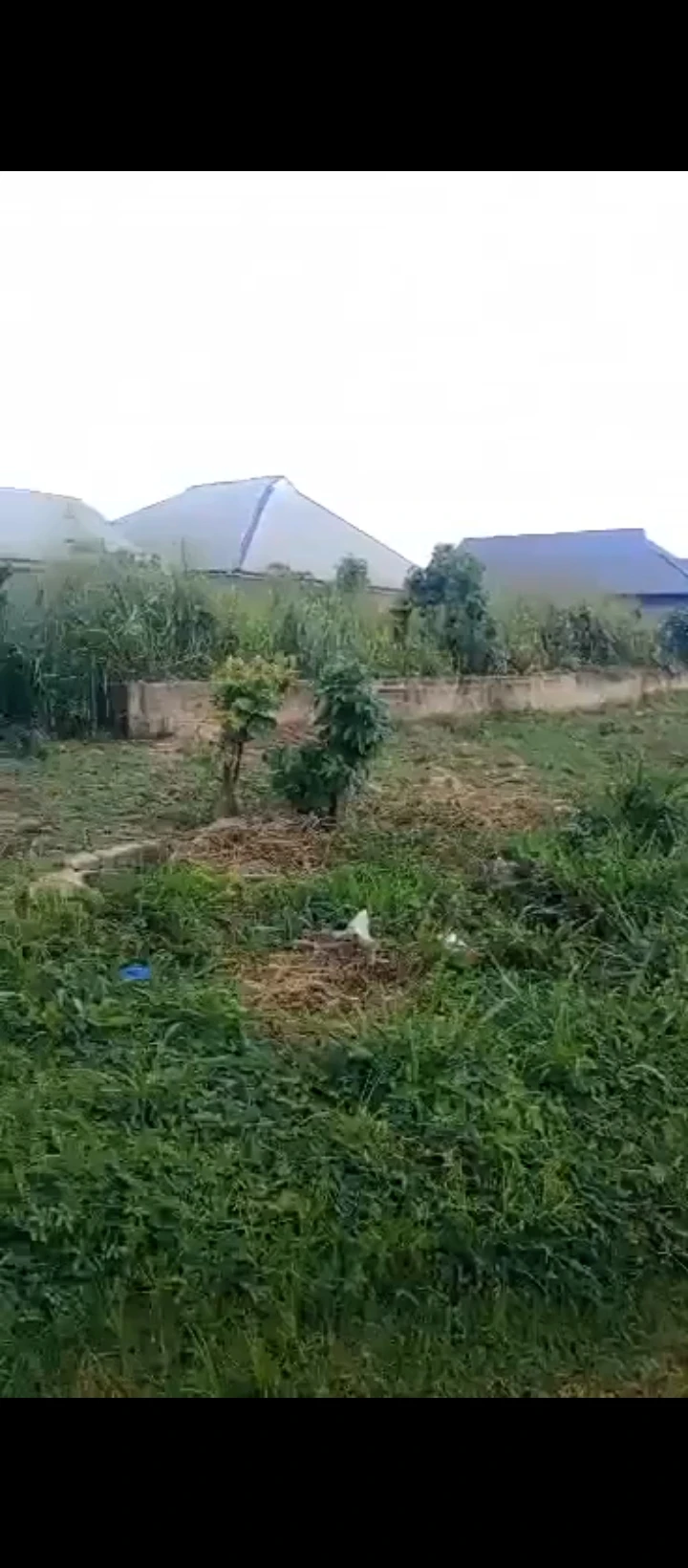 Land for Sale in Sapele road by peanut, Edo - Image 1