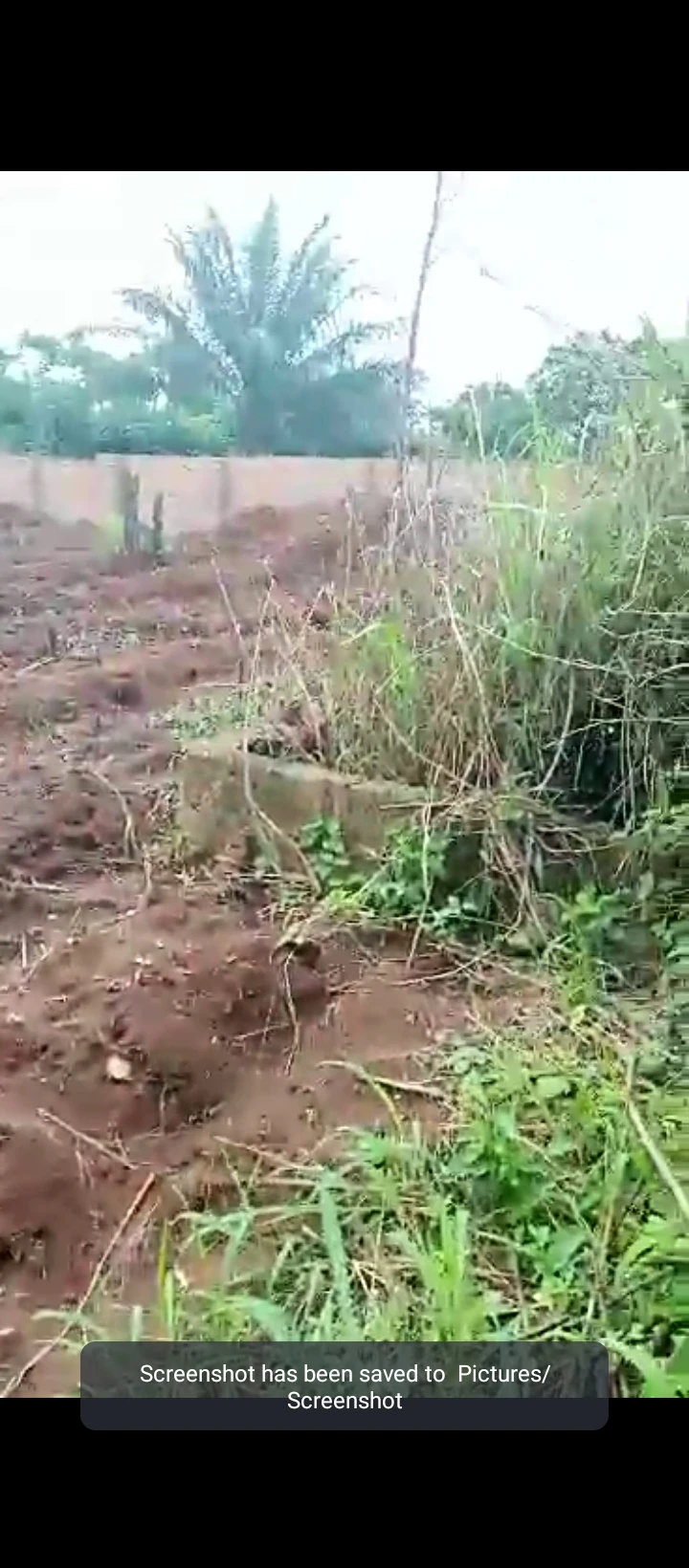 Land for Sale in Ahor off Auchi road Benin bypass, Edo - Image 1