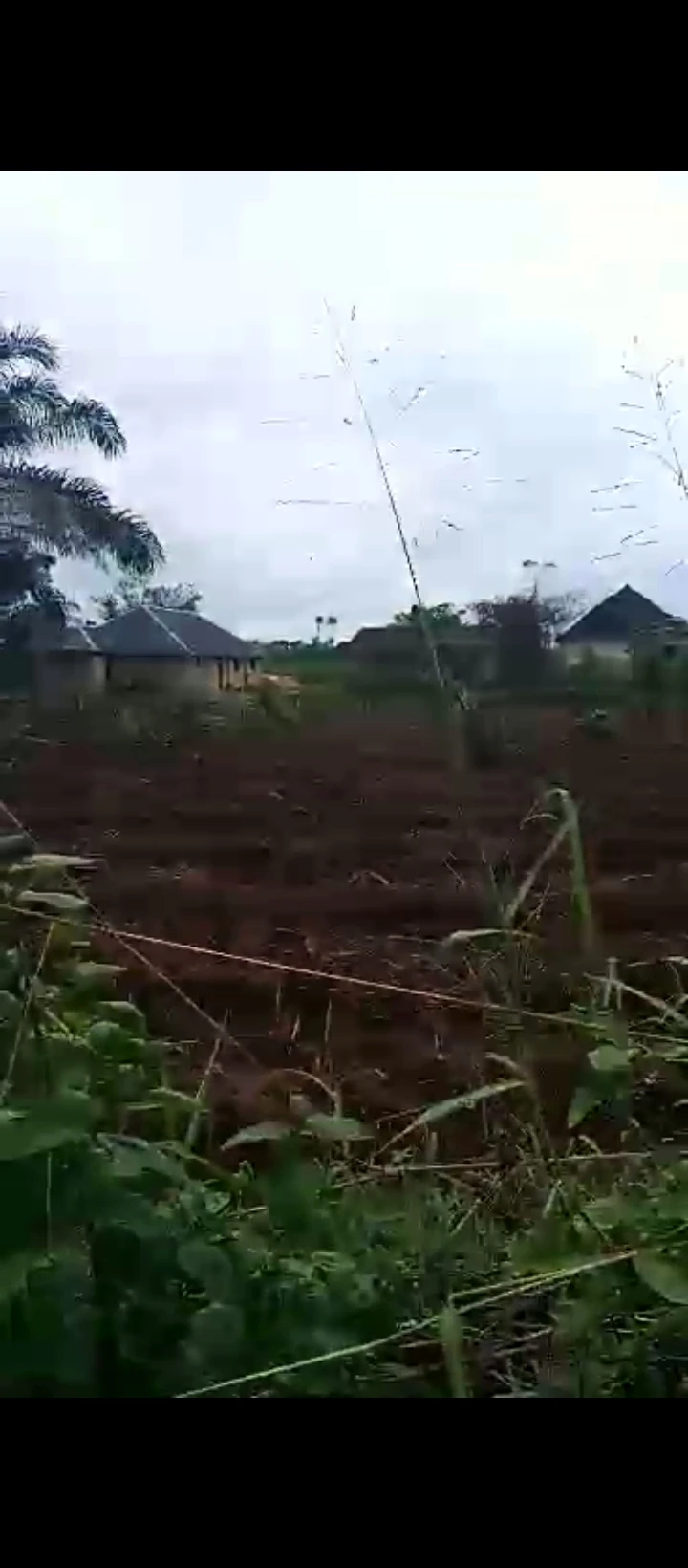 Land for Sale in Ahor off Auchi road Benin bypass, Edo - Image 2