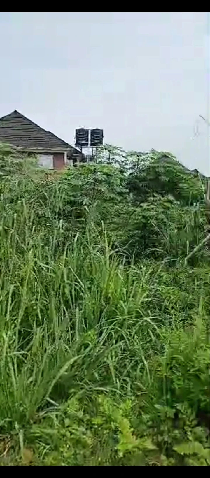 Land for Sale in Evvboriaria, Edo - Image 1