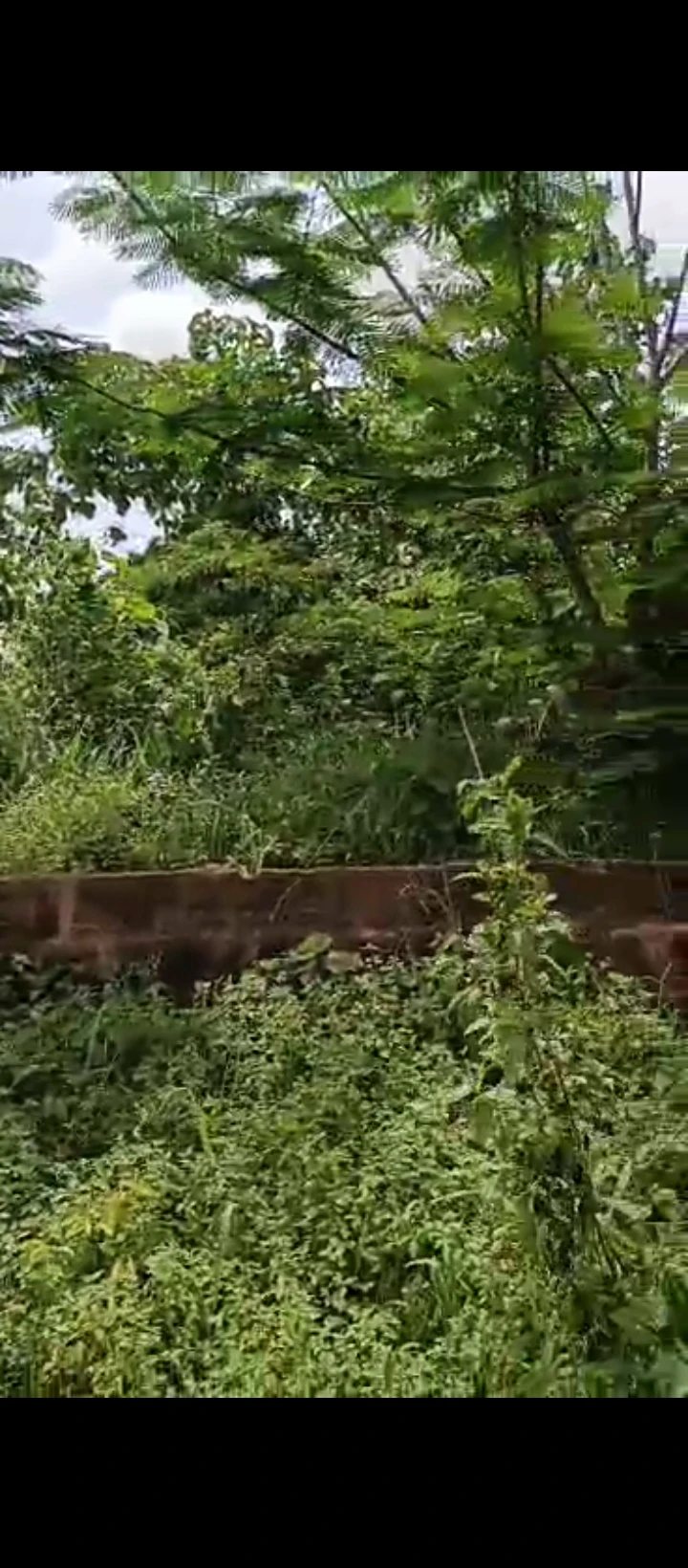 Land for Sale in IRIRI IYEKOGBA estate, Edo - Image 1