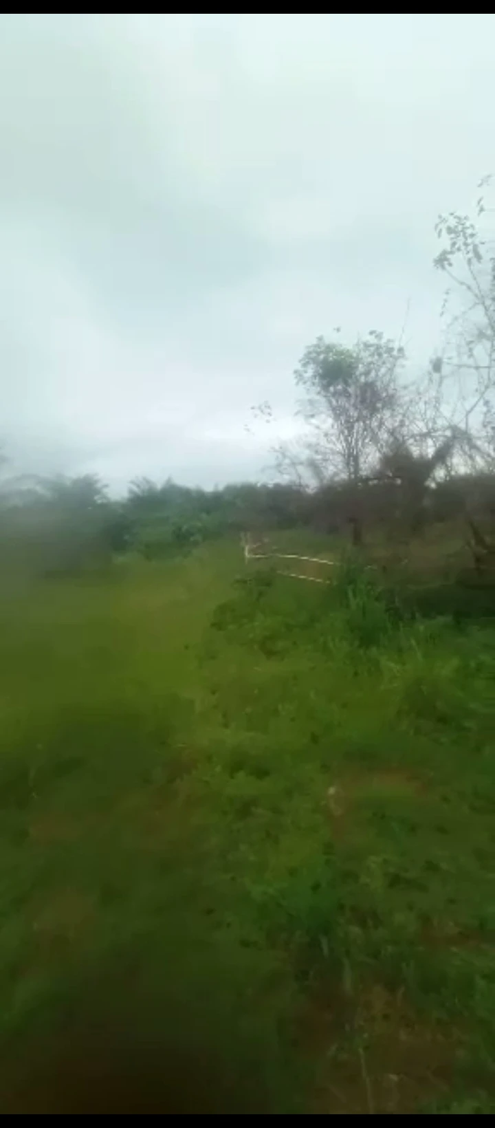Land for Sale in Obagie road, Edo - Image 1