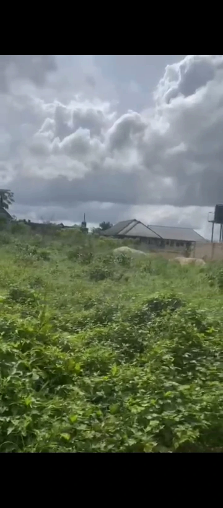Land for Sale in Ogheghe community, Edo - Image 1