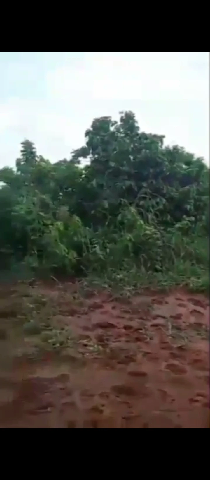 Land for Sale in EKHIADOLOR, Edo - Image 2