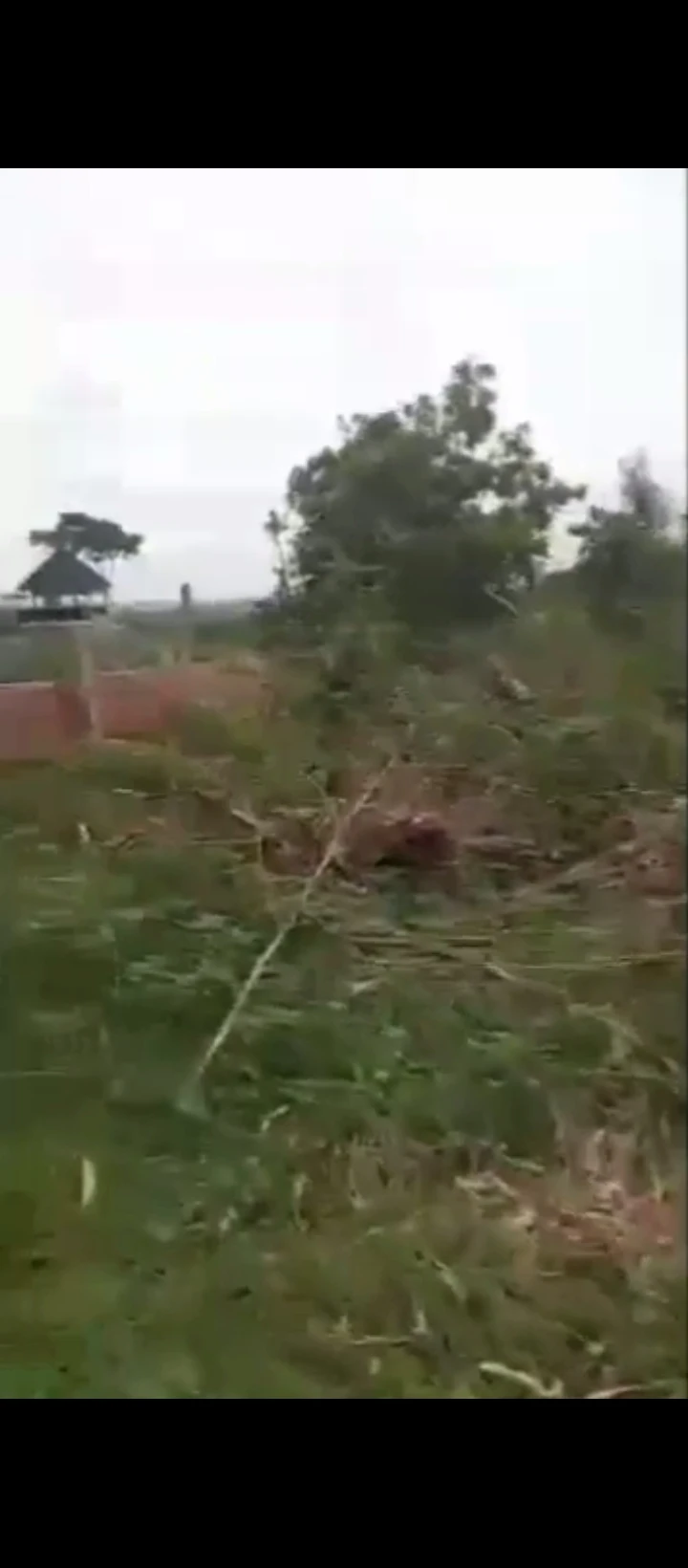 Land for Sale in EKHIADOLOR, Edo - Image 1