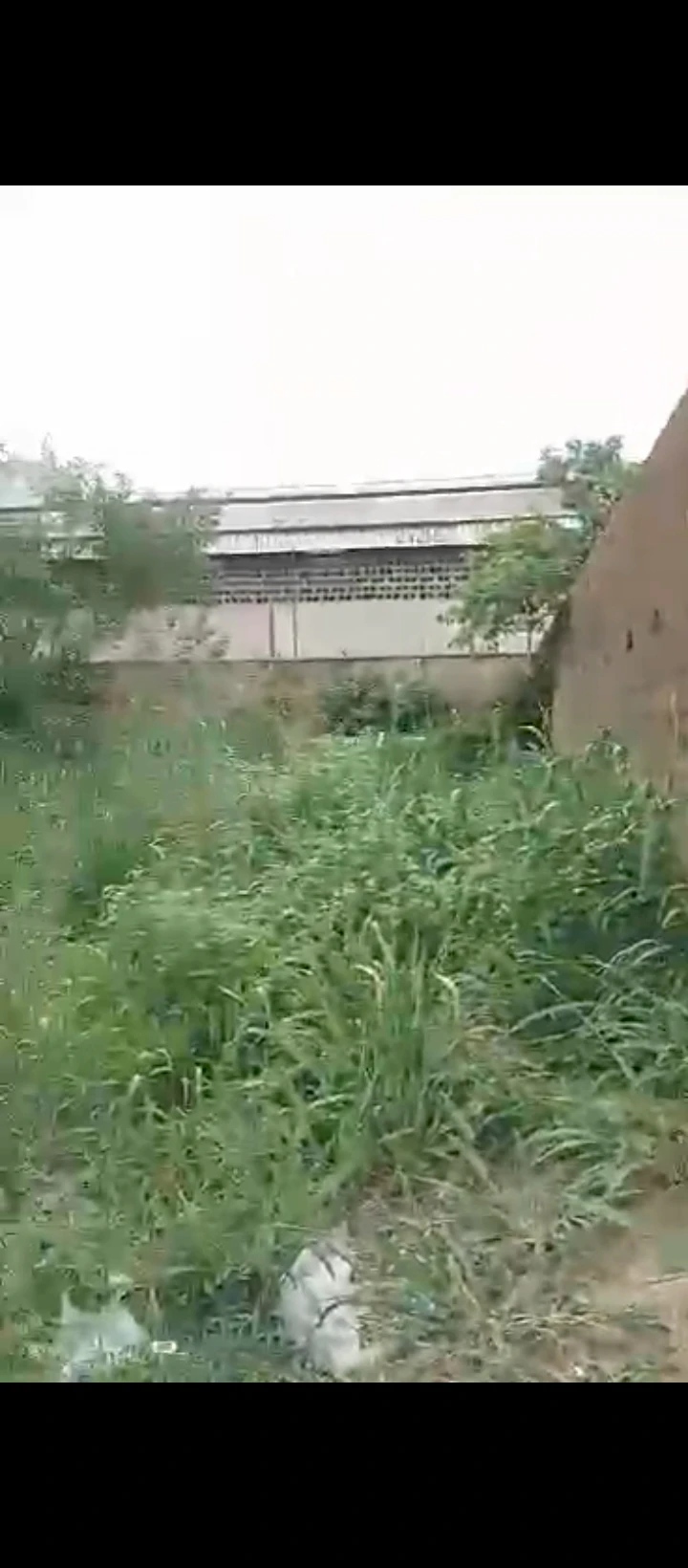 Land for Sale in Ikhueniro, Edo - Image 2