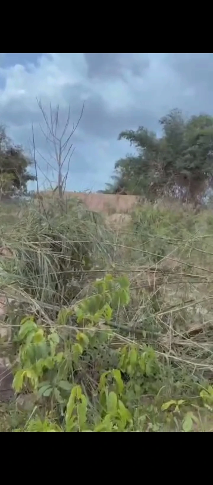 Land for Sale in EKHIADOLOR, Edo - Image 1