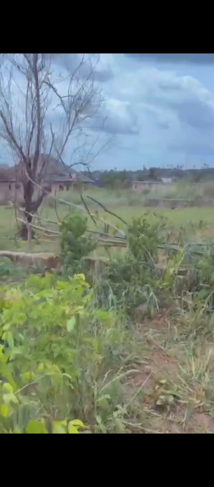 Land for Sale in EKHIADOLOR, Edo - Image 2