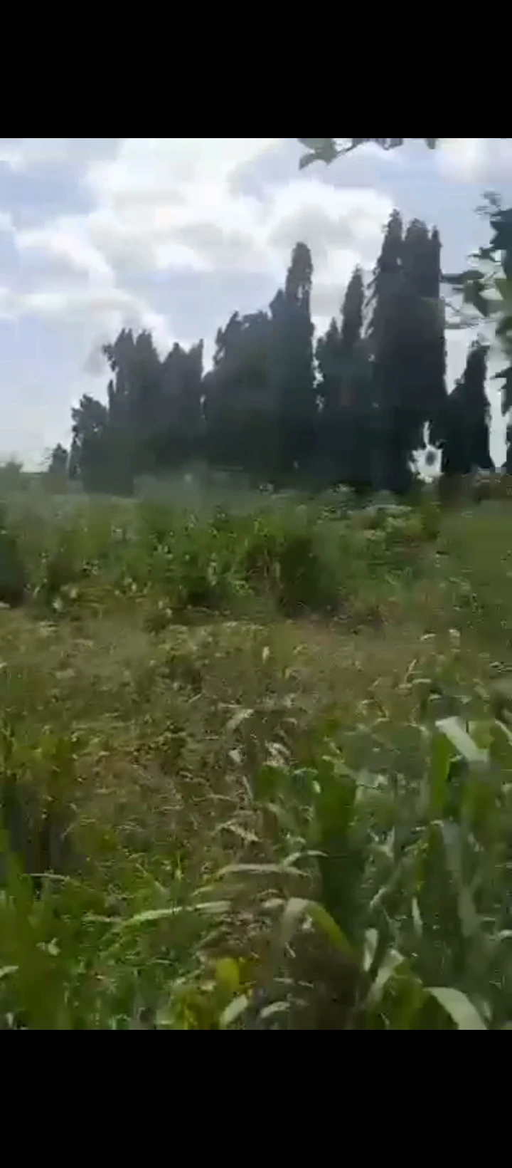 Land for Sale in IYEKOGBA IRIRI, Edo - Image 2