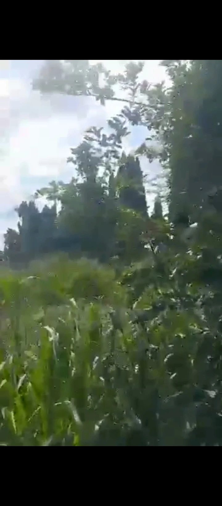Land for Sale in IYEKOGBA IRIRI, Edo - Image 3