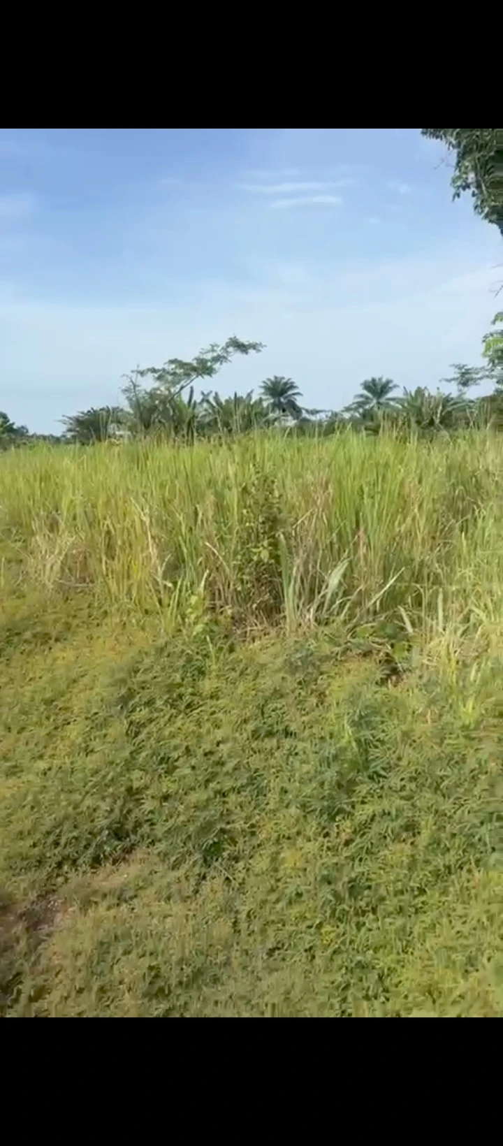 Land for Sale in Obayator, Edo - Image 2