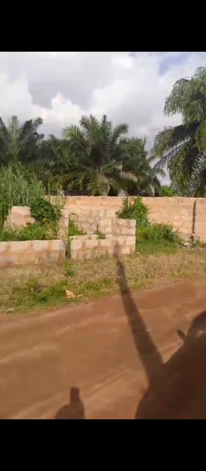 Land for Sale in Upper siluko, Edo - Image 1