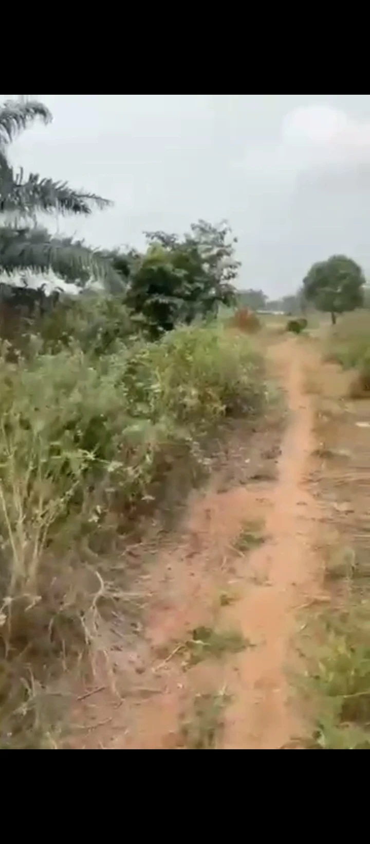 Land for Sale in Iyanomo community sapele road, Edo - Image 2