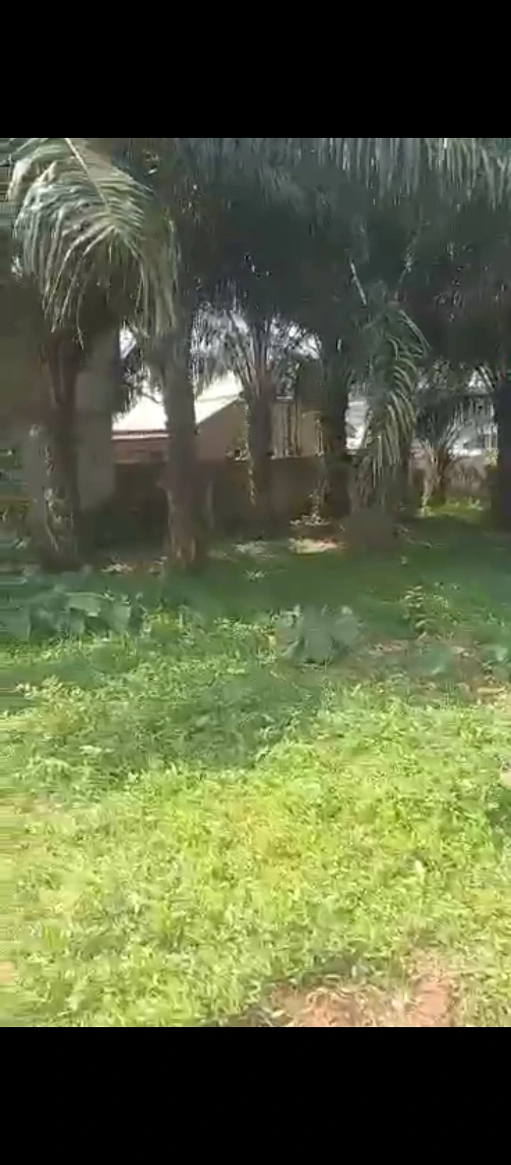 Land for Sale in Ekehuaw, Edo - Image 2