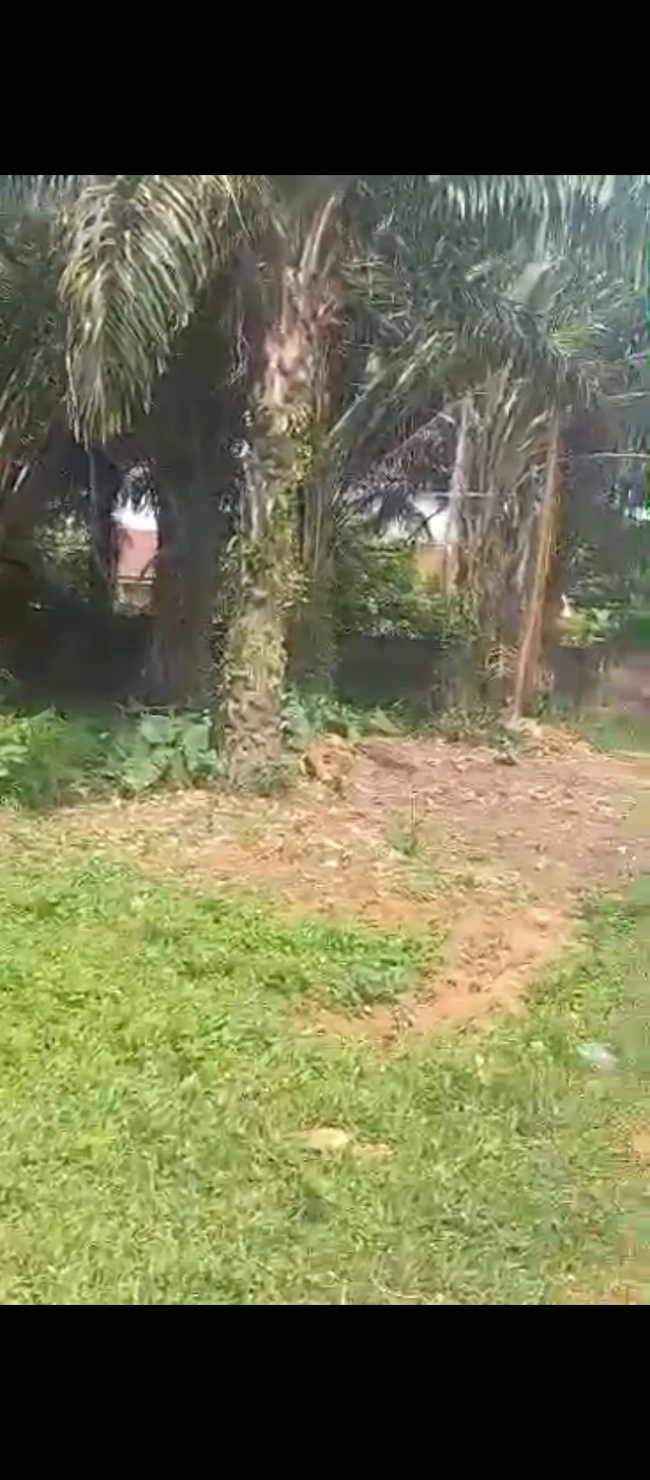 Land for Sale in Ekehuaw, Edo - Image 1