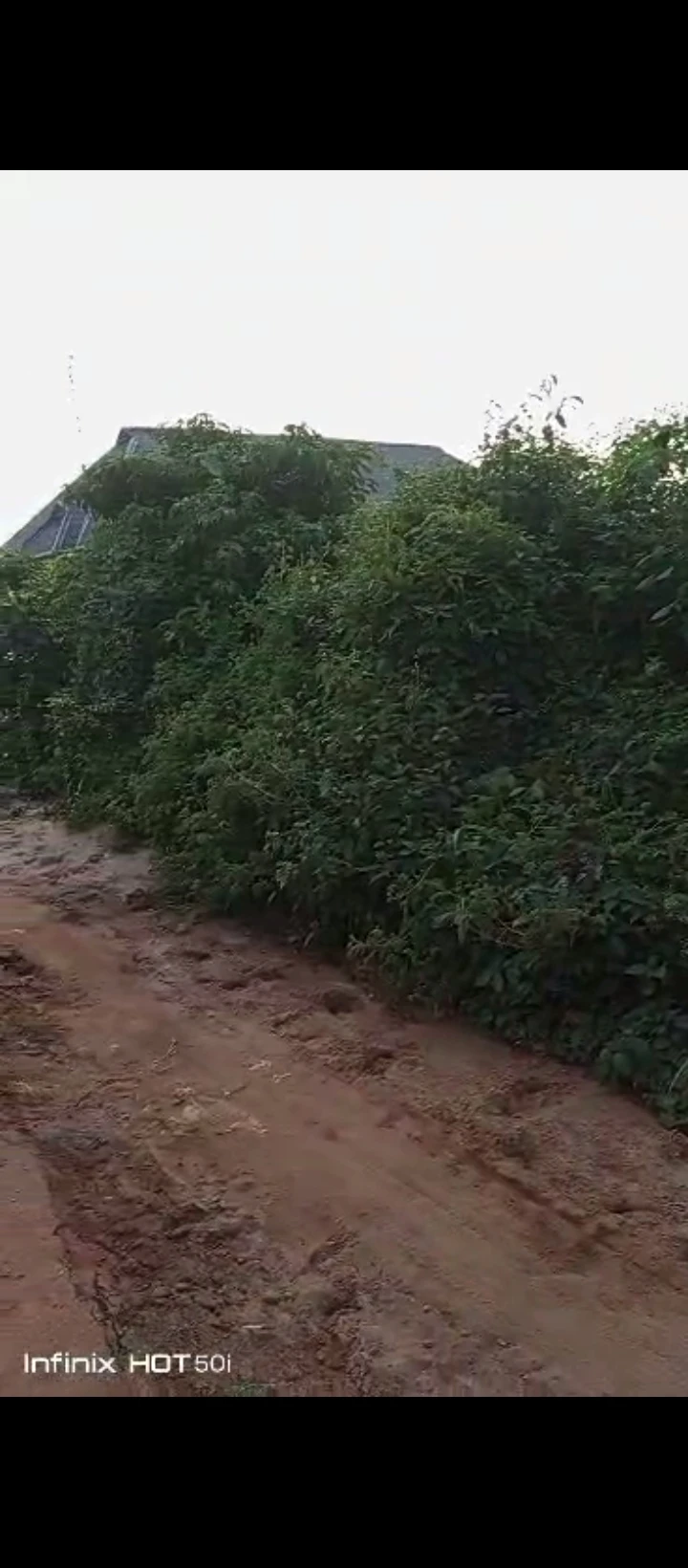 Land for Sale in Peanut sapele road, Edo - Image 2