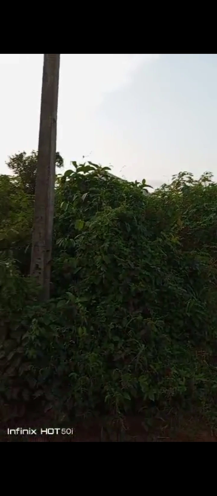 Land for Sale in Peanut sapele road, Edo - Image 1