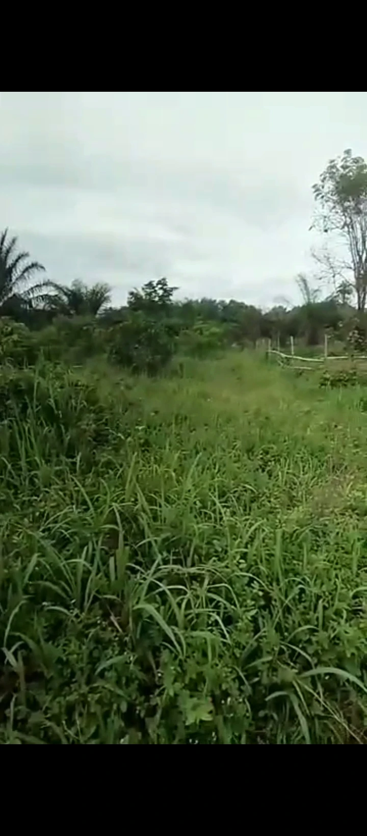 Land for Sale in Obagie sapele road, Edo - Image 2