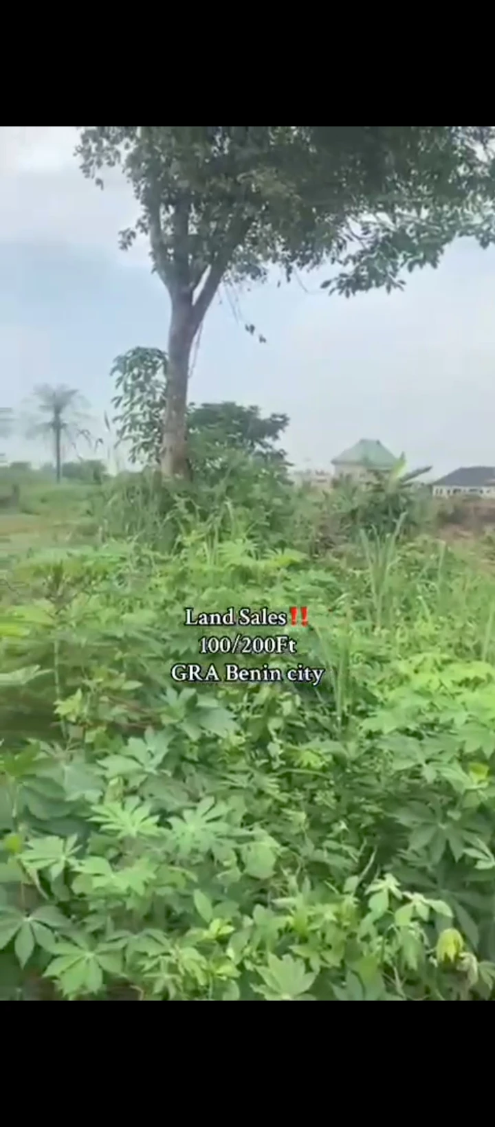 Land for Sale in Country home, Edo - Image 1