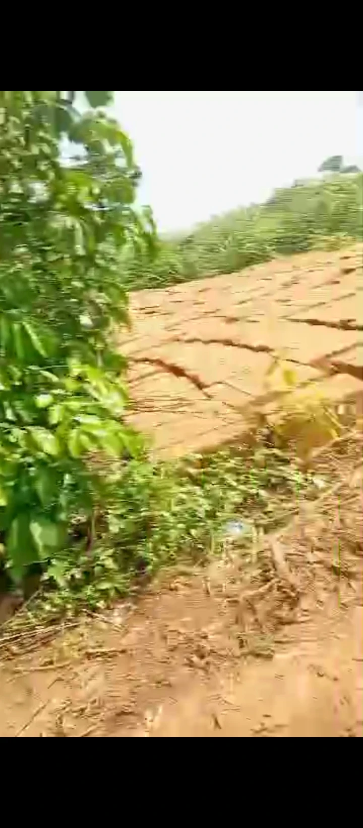 Land for Sale in Oluku, Edo - Image 2