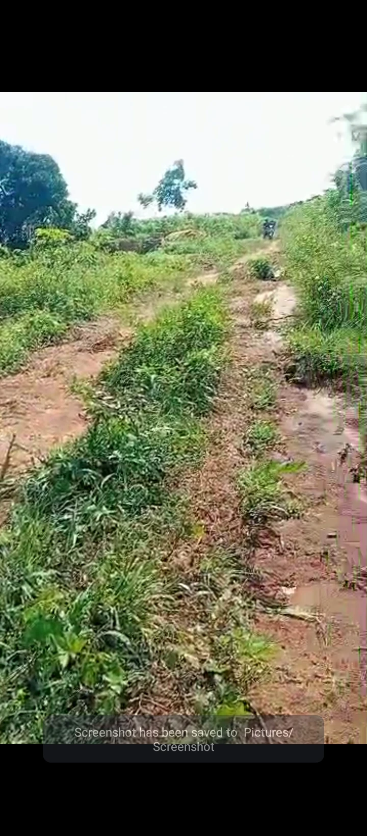 Land for Sale in Oluku, Edo - Image 1