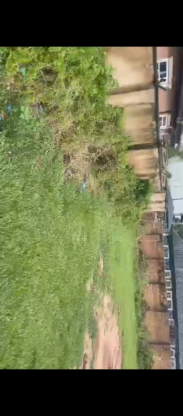 Land for Sale in Amagba, Edo - Image 3