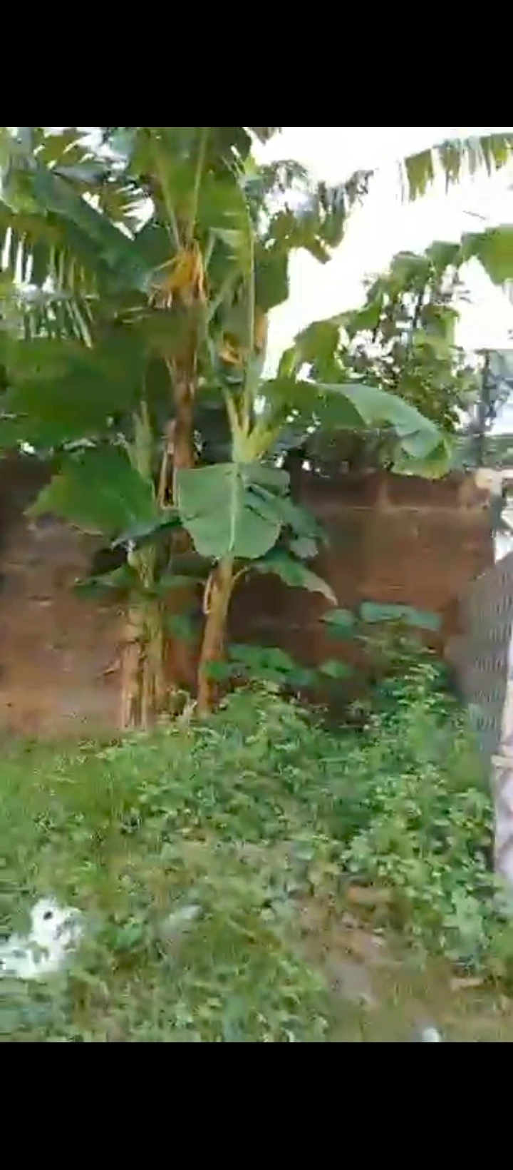 Land for Sale in AMAGBA, Edo - Image 3